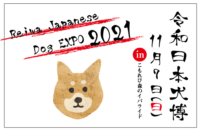 令和日本犬博21 ピックアップ こもれび森のイバライド 茨城県